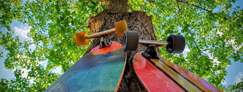 Longboards resting on a tree